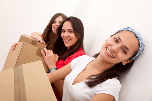 Removalists handling furniture with care in Manandvan Stockwell